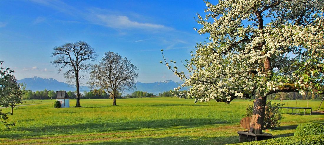 Panoramaterrasse, Gemeinschaftsbereich mit optionalem Frühstücksangebot oder zum gemütlichen Beisammensein