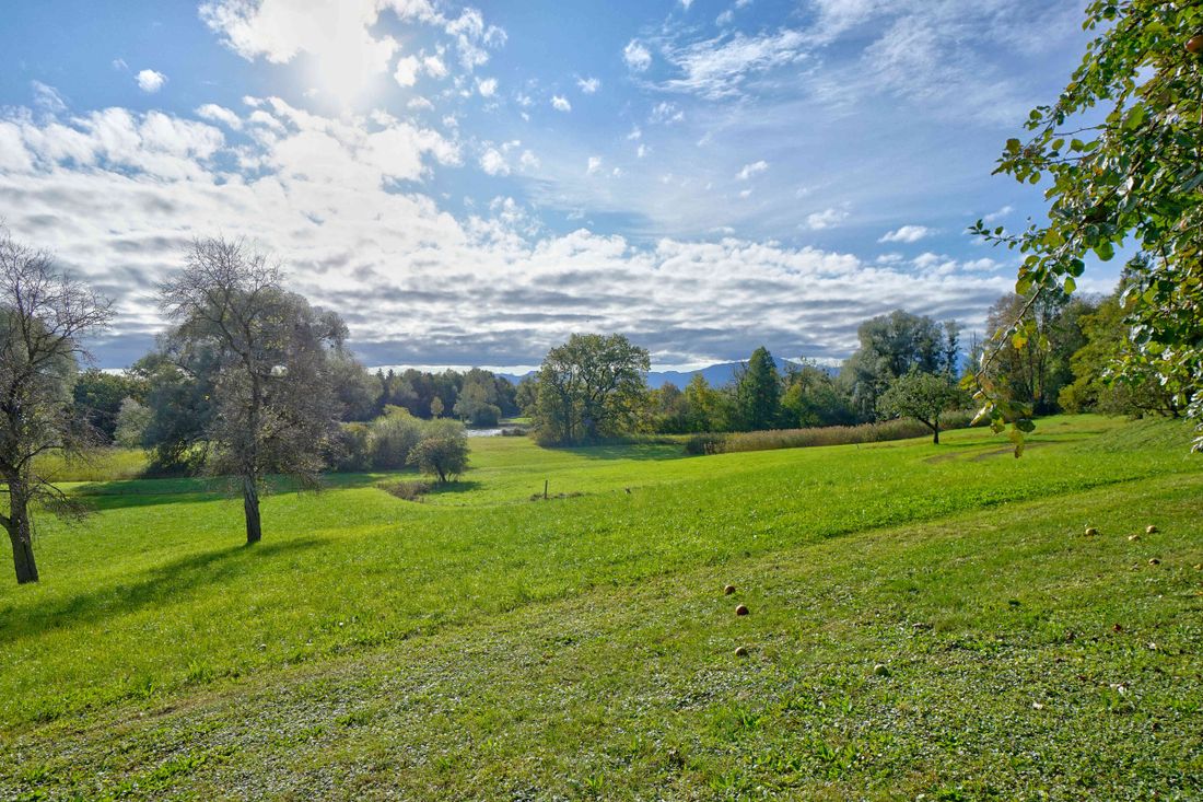 Blick vom Hof auf den Garten und die Alz