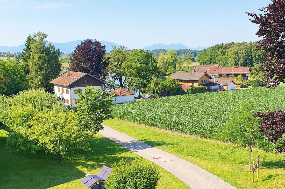 der Ausblick auf die Alz