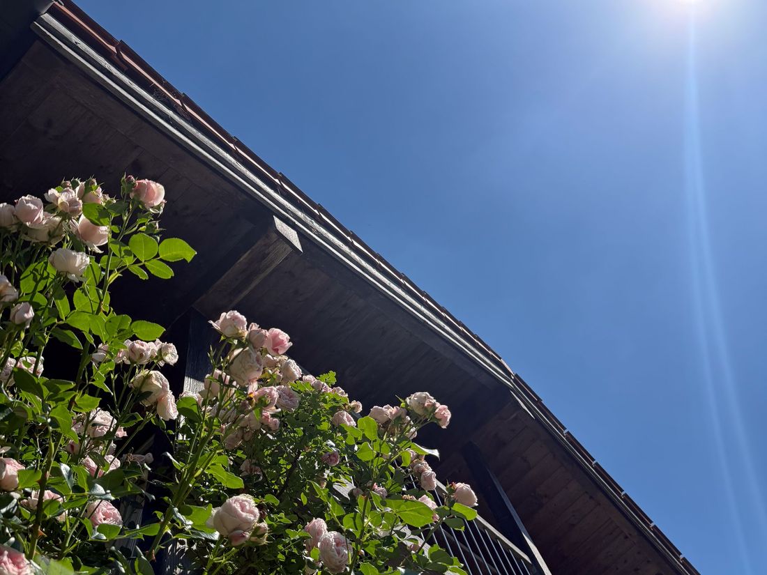 Blauer Himmel und Sonne.....was will man mehr