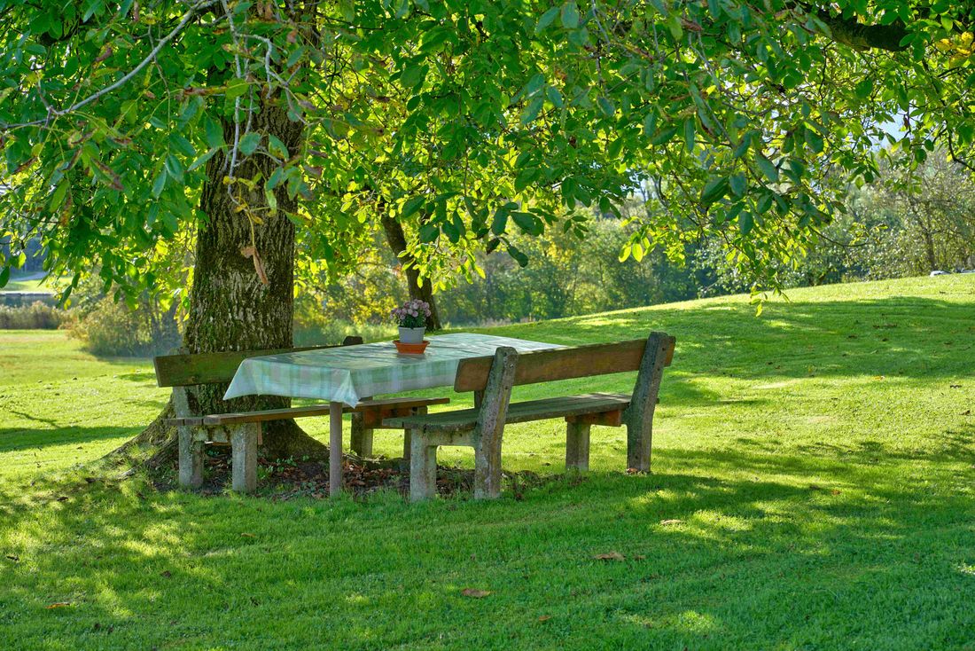 Garten
