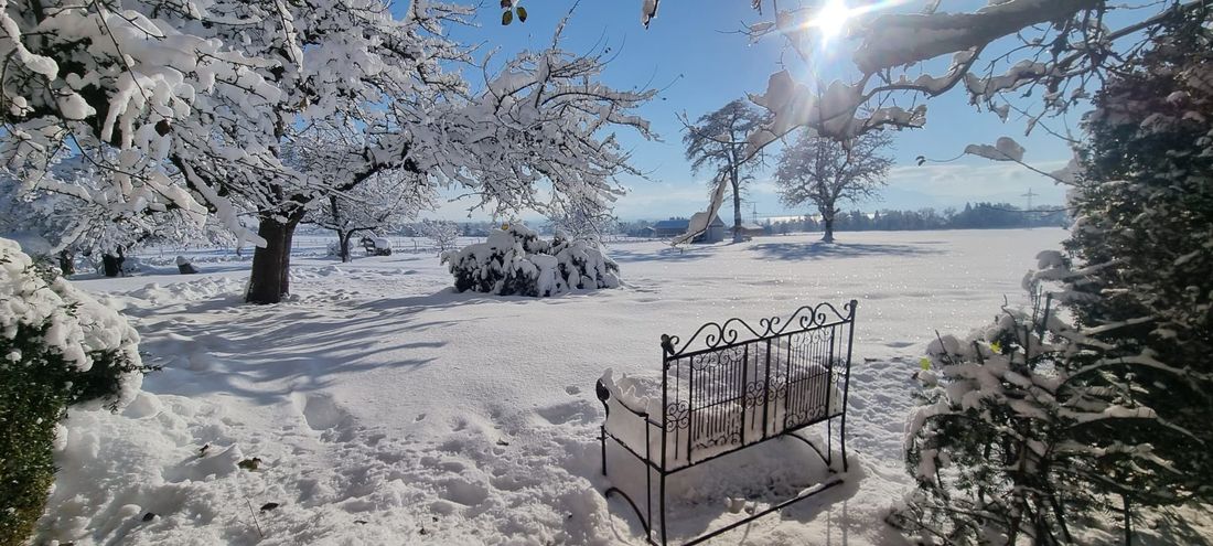 Winter am Moier-Hof LEX