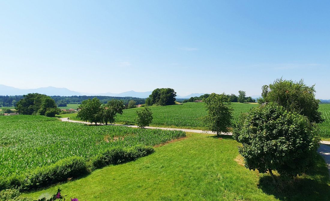 Aussicht vom Balkon