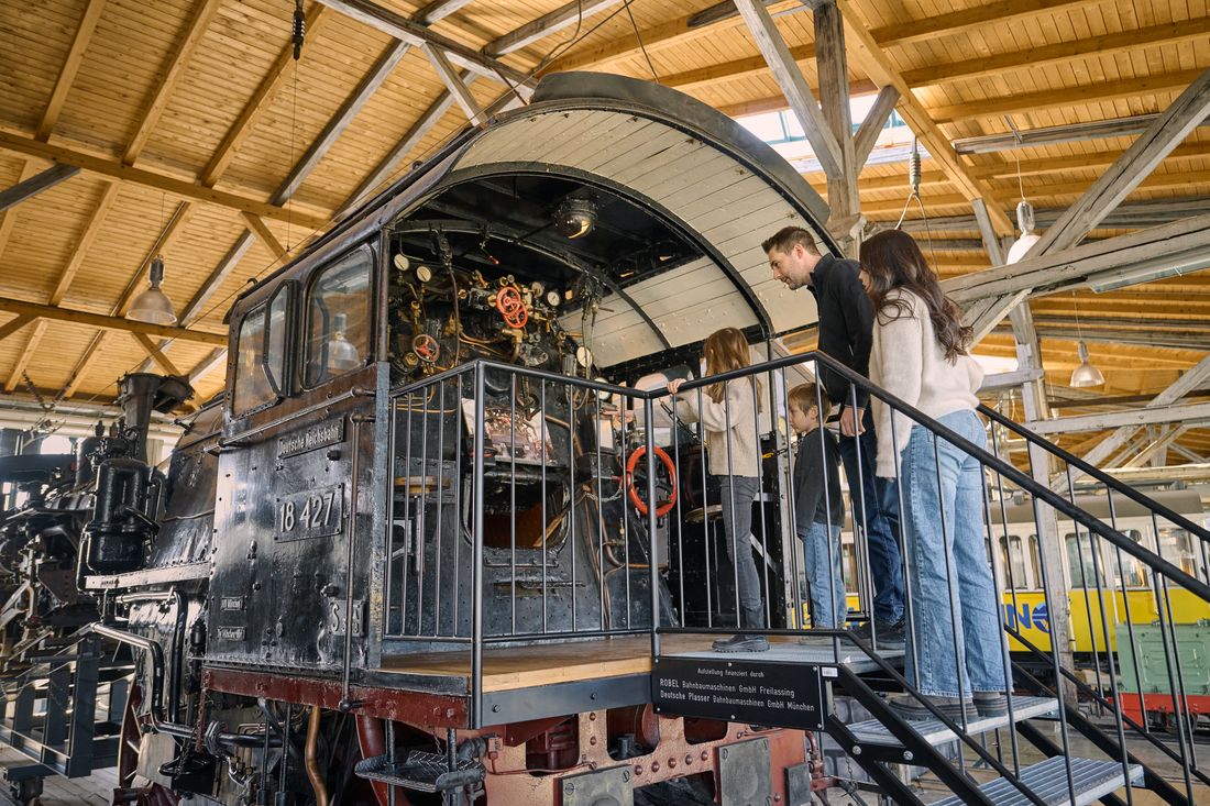 LokweltFreilassing_(c) Matthias Zuckschwerdt (3)