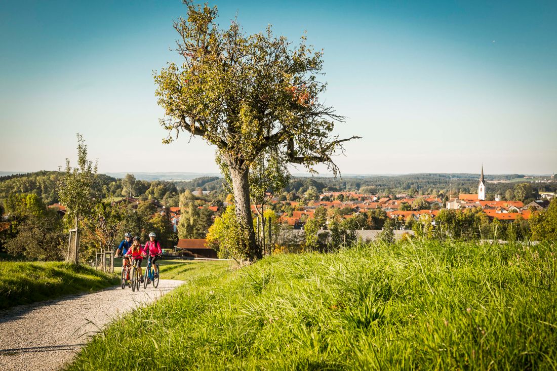 Auf Bauernhof-Safari