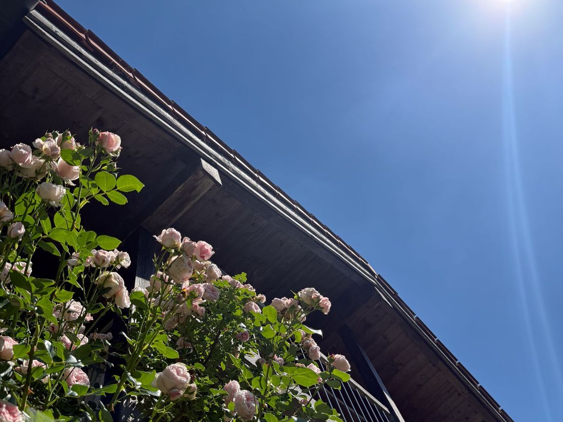 Blauer Himmel und Sonne.....was will man mehr