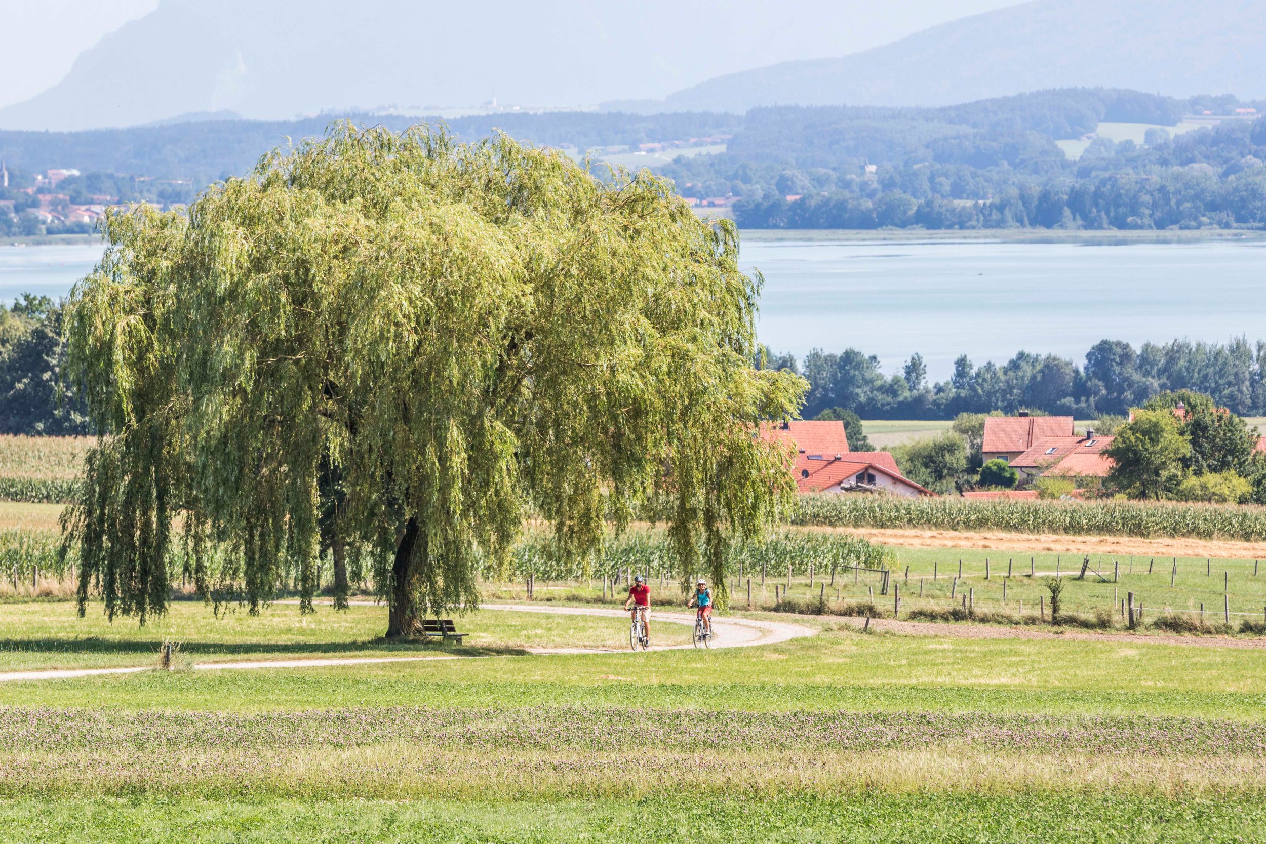 Waginger See Rundweg