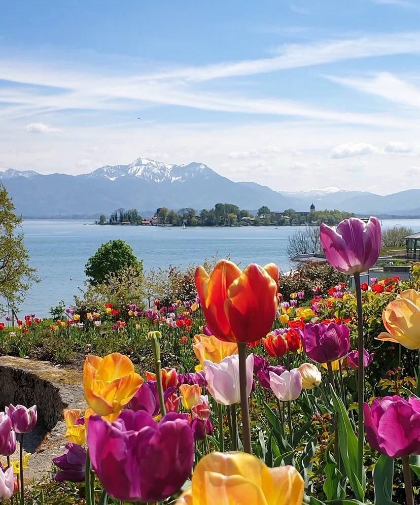 Chiemsee mit Fraueninsel und Hochgern