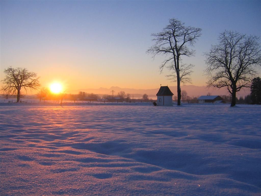 Winter am Moier-Hof LEX