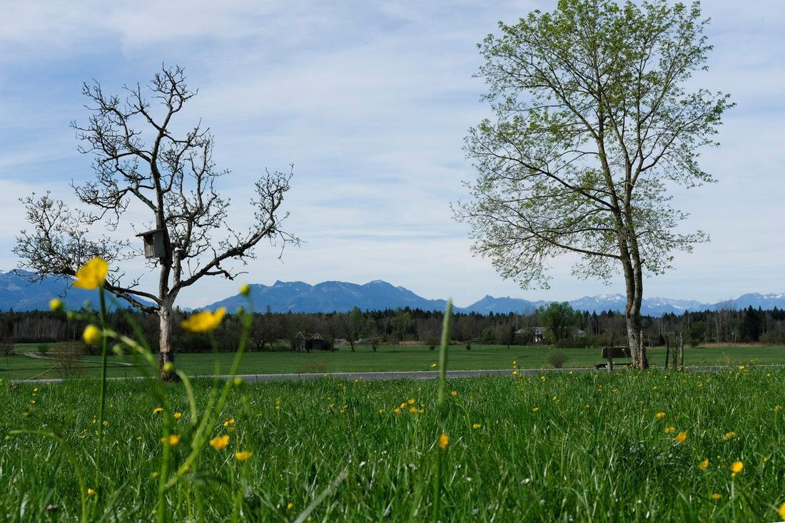 Bergblick