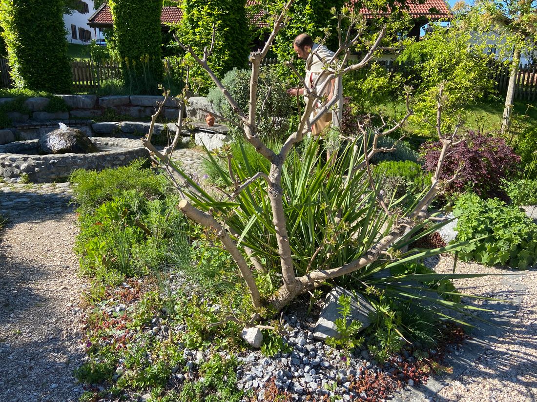 Römergarten in Bedaium (59)