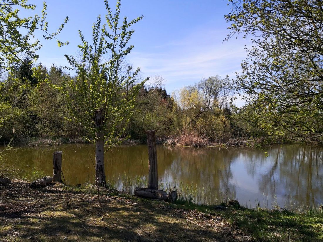 Teich