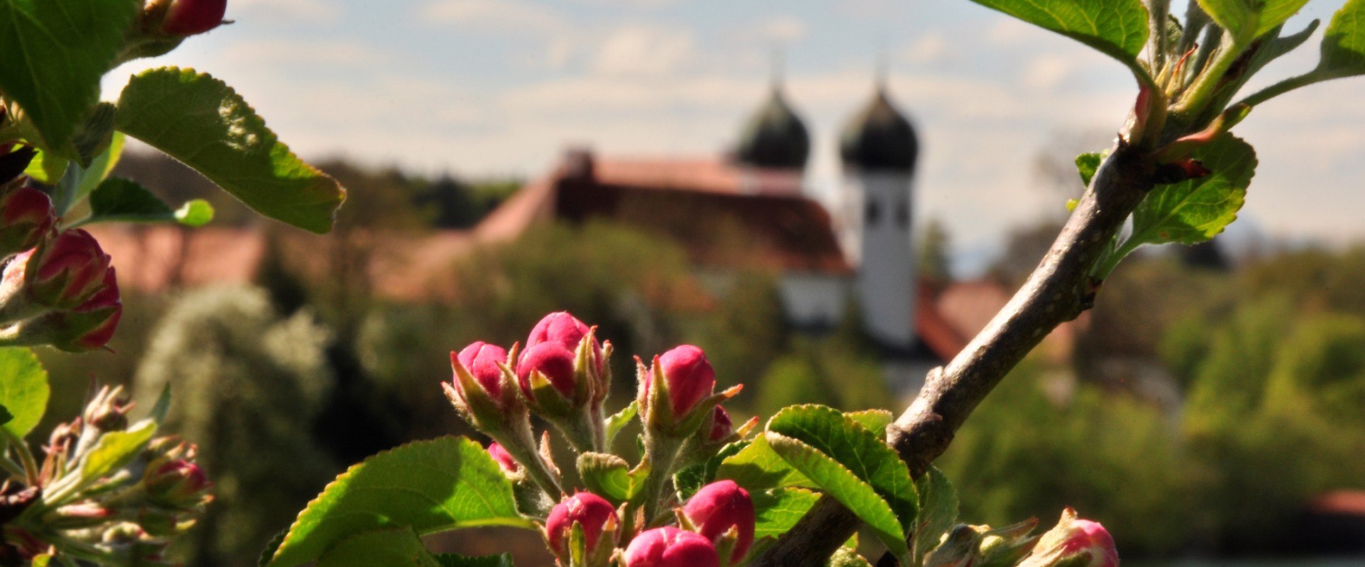 Frühling am Kloster Seeon, © Christine Limmer