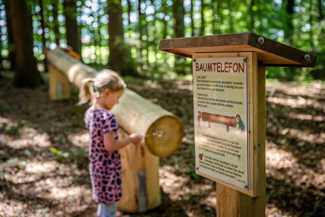 Baumtelefon