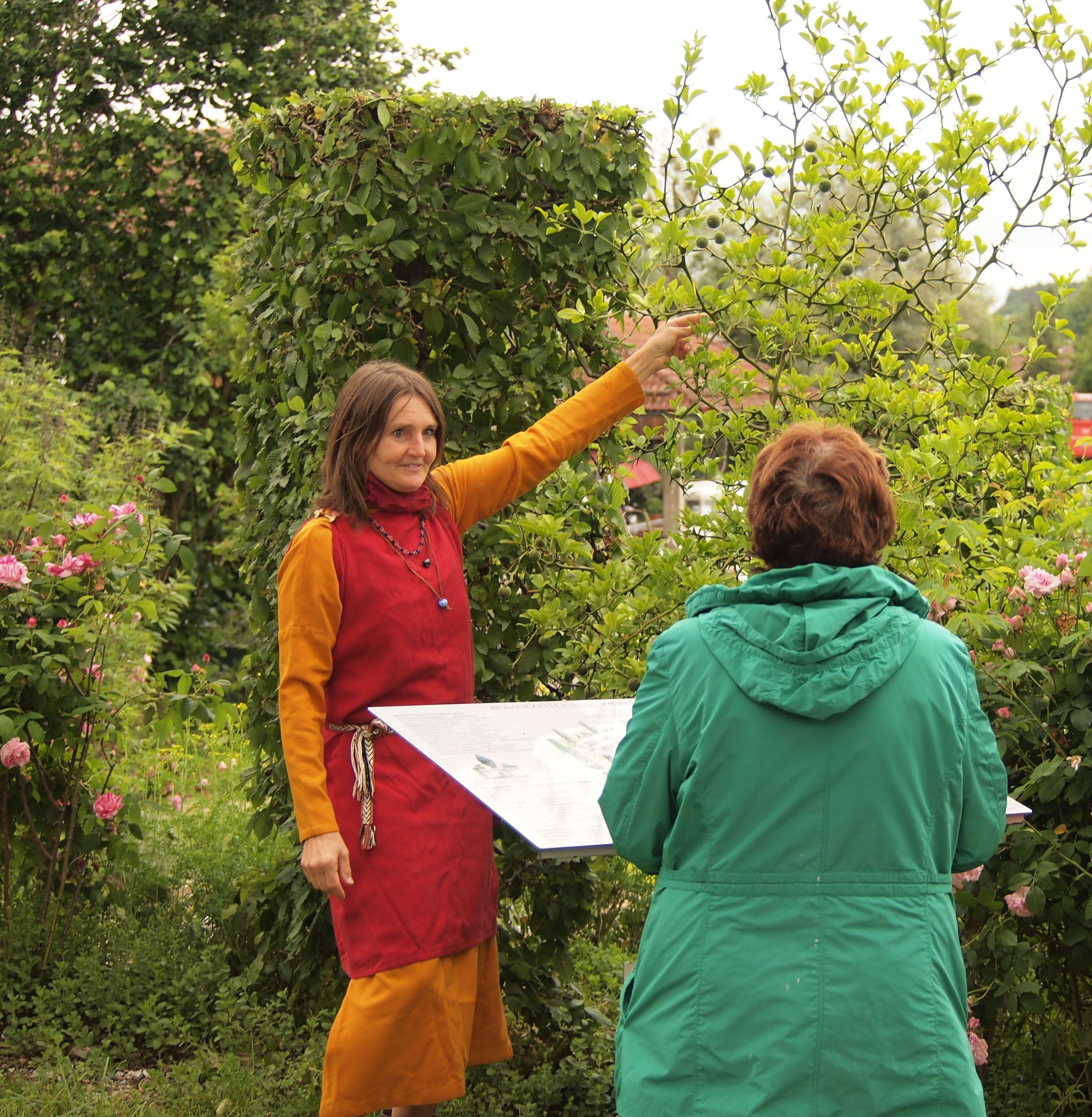 Römergartenführung