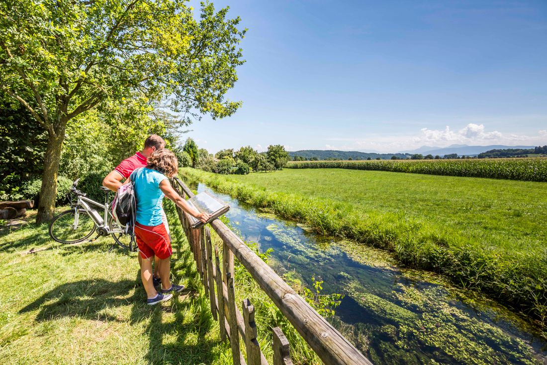 Tengling am Waginger See
