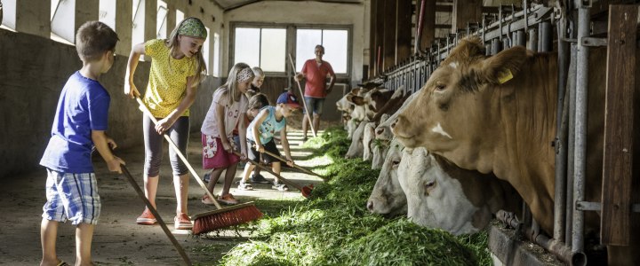 Am Chiemsee bei Urlaub auf dem Bauernhof dürfen Kinder im Stall mithelfen,, © www.estererhof.de