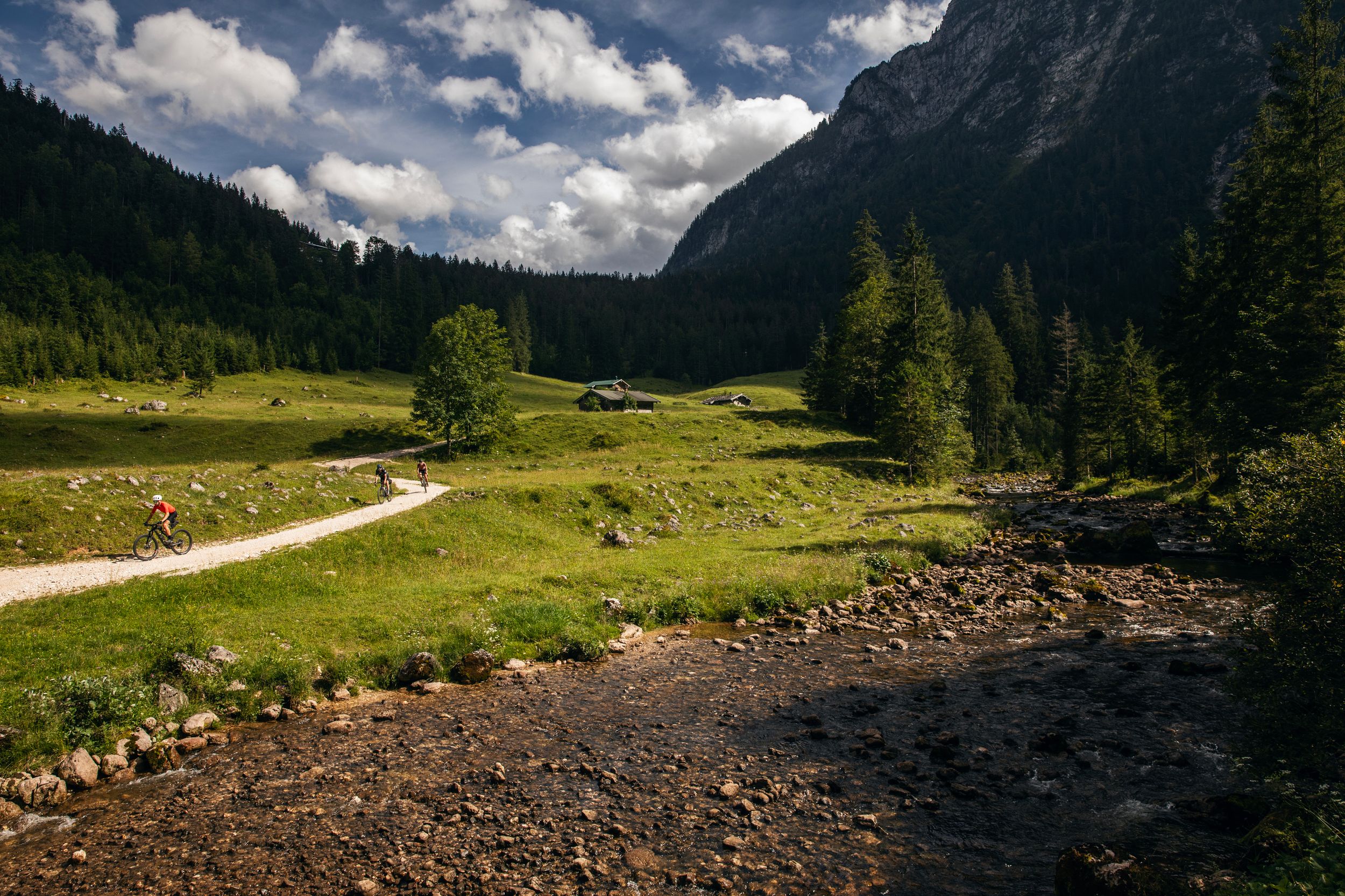 5D4_8924.jpg
