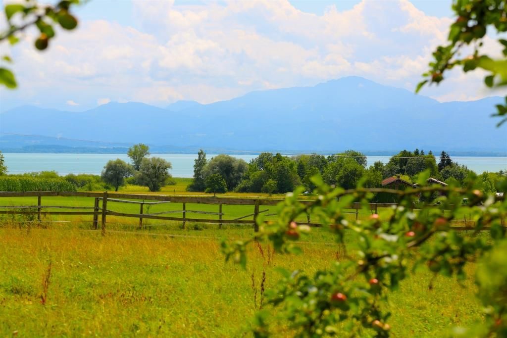 Ausblick vom Hof