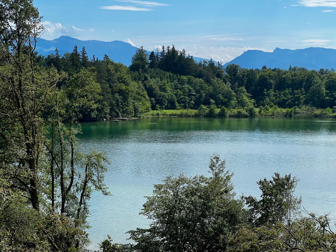 Der idyllische Langbürgner See