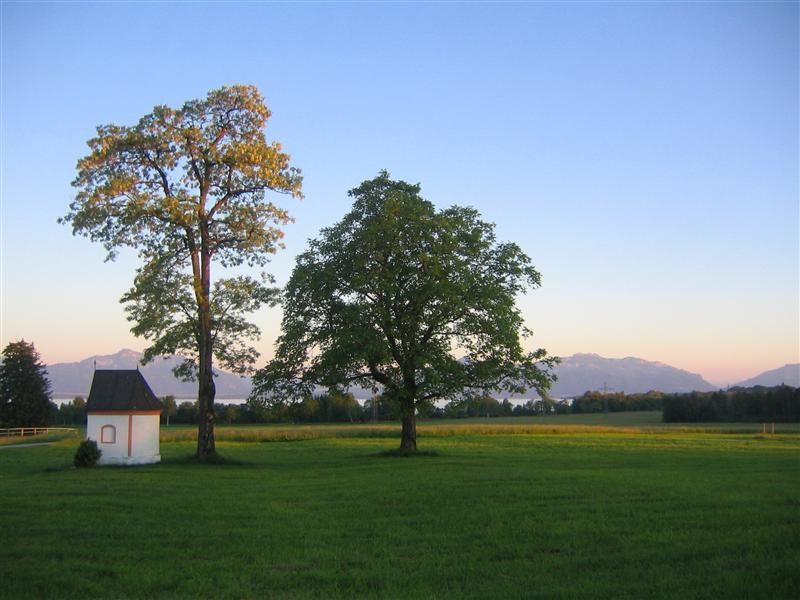 Blick von der Terrasse über die weitläufigen Wiesen bis zum Chiemsee und die Alpen